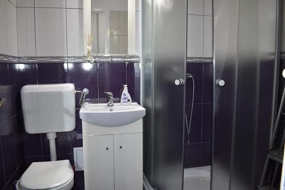 Bega Circumvalatiunii 1 Room Apartment Timişoara Eksteriør billede